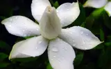 宝珀手表售后中心，宝珀手表修理保养