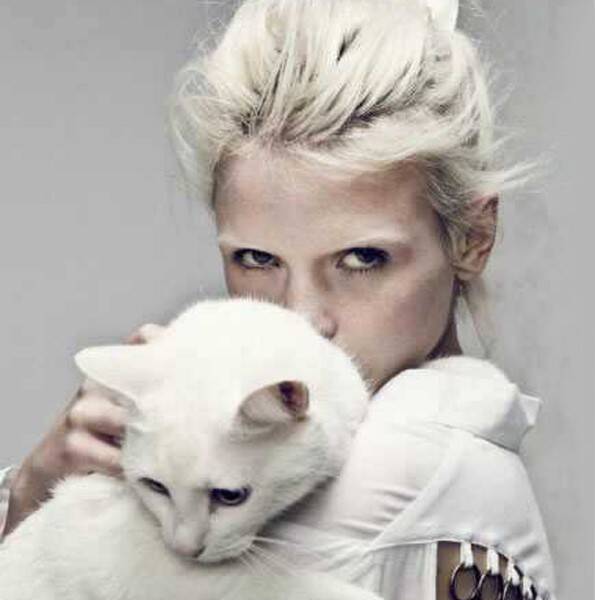 芝柏 女人和猫竟然有关系？ 猫眼系列揭秘女人的性格